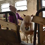 Bauernhof Turisticna Kmetija Pod Kostanji - Pod Kostanji