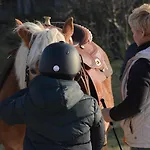 Turisticna Kmetija Pod Kostanji - Pod Kostanji *