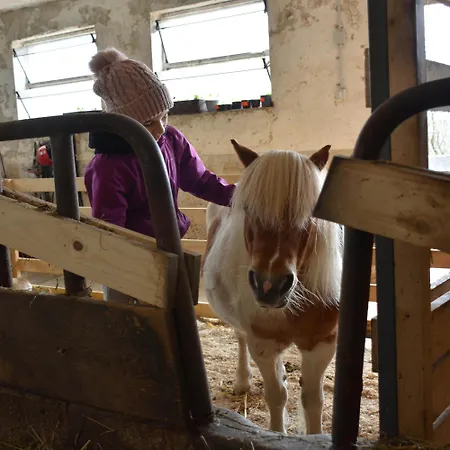 مزرعة للإقامة Turisticna Kmetija Pod Kostanji - Pod Kostanji