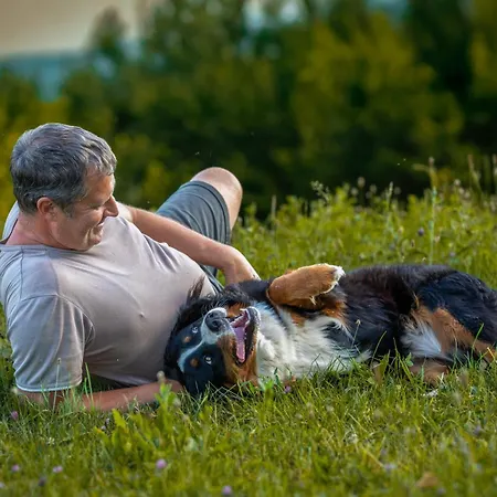 Turisticna Kmetija Pod Kostanji - Pod Kostanji Motnik