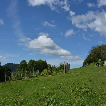 Turisticna Kmetija Pod Kostanji - Pod Kostanji Bauernhof