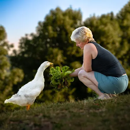 Turisticna Kmetija Pod Kostanji - Pod Kostanji * Motnik