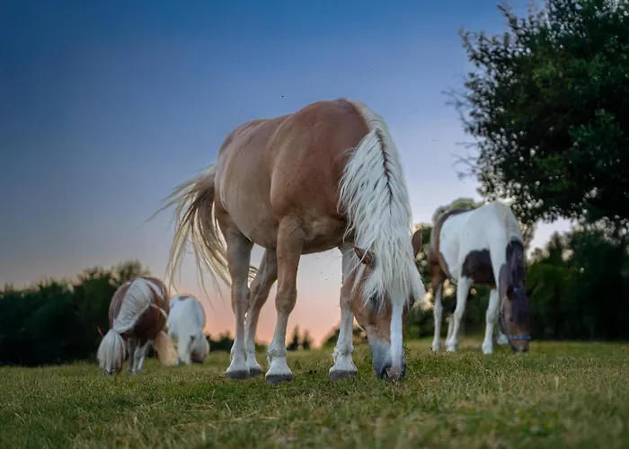Turisticna Kmetija Pod Kostanji - Pod Kostanji Lantgård *