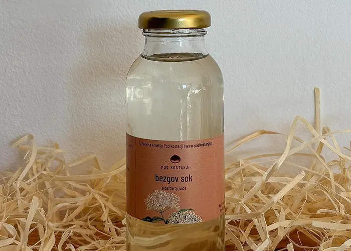 Turisticna Kmetija Pod Kostanji - Pod Kostanji * Motnik