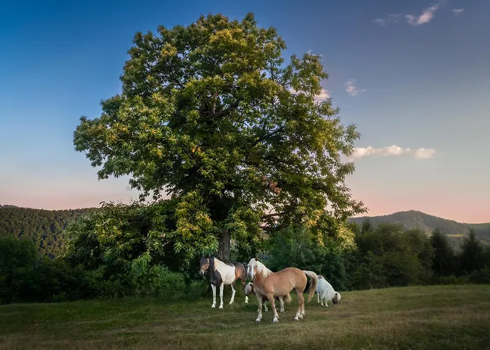 Lantgård Turisticna Kmetija Pod Kostanji - Pod Kostanji