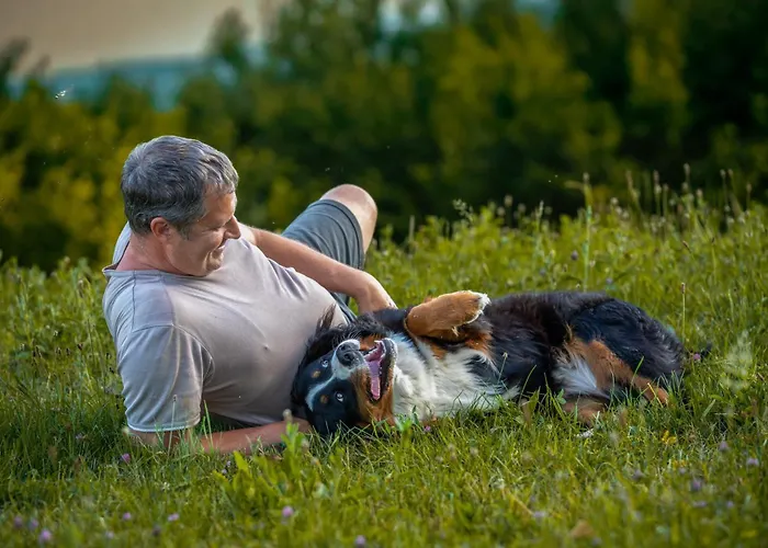 Turisticna Kmetija Pod Kostanji - Pod Kostanji Motnik