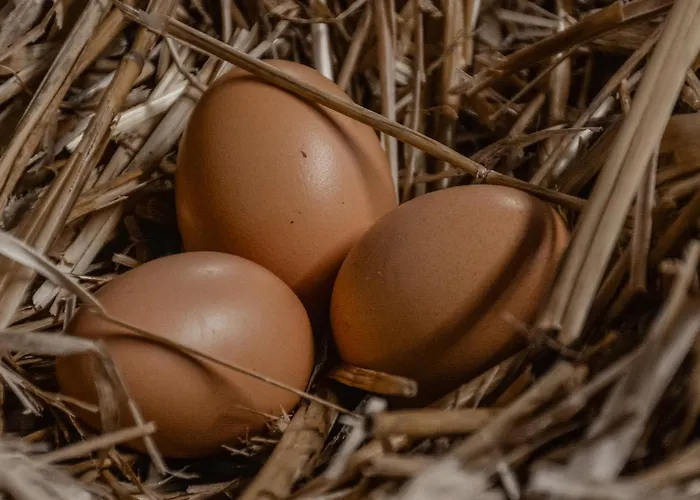 Turisticna Kmetija Pod Kostanji - Pod Kostanji Lantgård Motnik