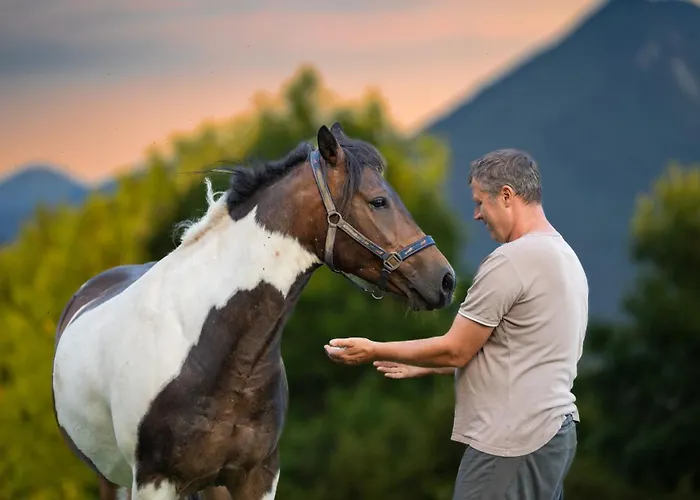 Turisticna Kmetija Pod Kostanji - Pod Kostanji Lantgård *