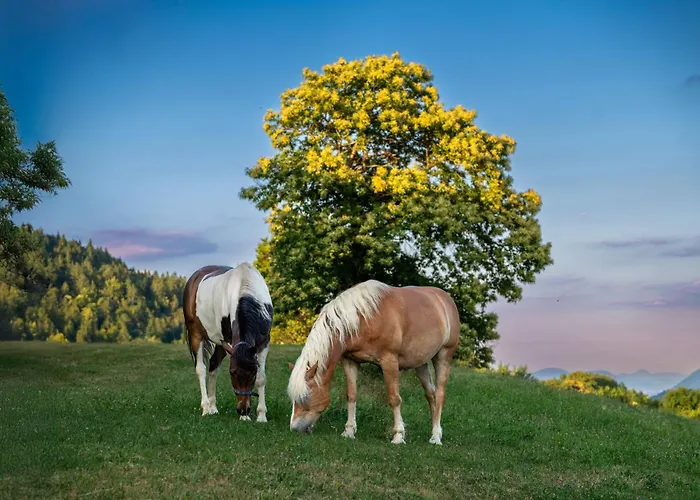 Lantgård Turisticna Kmetija Pod Kostanji - Pod Kostanji Motnik