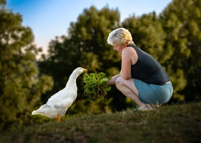 Turisticna Kmetija Pod Kostanji - Pod Kostanji * Motnik